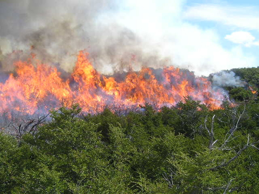 Corpocesar coordina acciones para mitigar incendios forestales