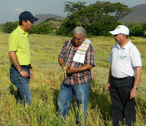 «Con moderno laboratorio de referencia para la calidad del arroz se generan precios justos»: afirman productores del grano