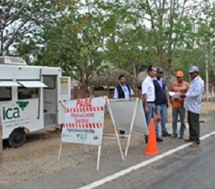 Cerca de 100 reses y 32 cerdos de contrabando fueron inmovilizados en La Guajira
