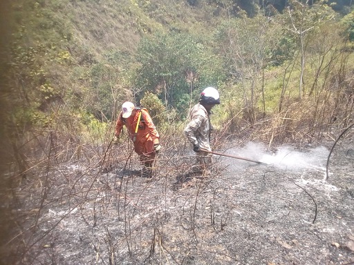 Por aire y tierra Gobernación del Cesar coordina control de incendios forestales