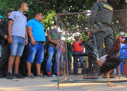 Policía captura a 14 personas en una gallera en Valledupar en plena cuarentena por Covid-19