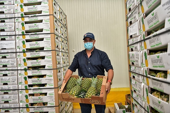 Gobierno del Cesar acompañó proceso para exportar a Canadá 19.000 kilos de piña desde el corregimiento de Simaña