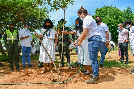 Santa Marta le apuesta a ser el 1mer Distrito Verde del país al sembrar 10 mil árboles en menos de 30 días