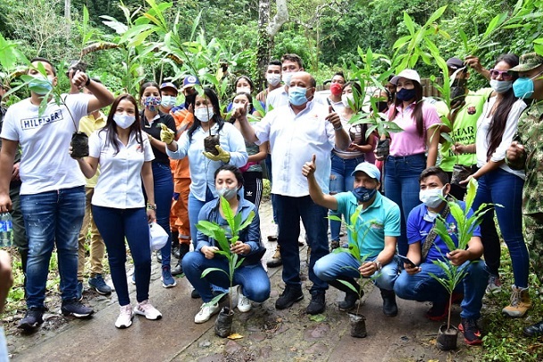 Comfacesar lidera campaña de reforestación en municipios del norte del Cesar