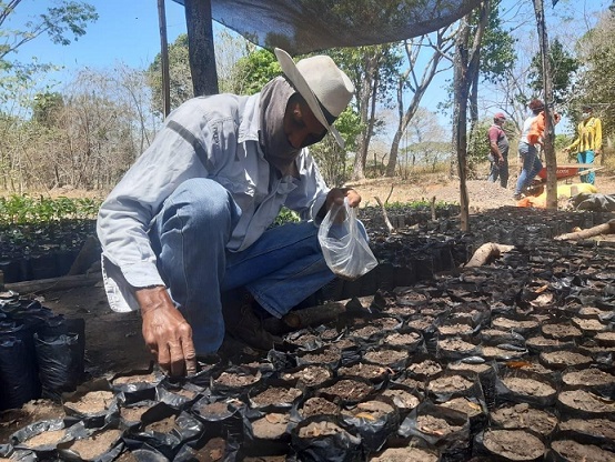 Corpocesar implementa proyecto de conservación del bosque seco tropical en la Serranía del Perijá