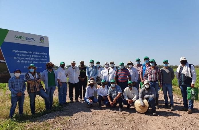 Agrosavia transfiere tecnología de riego con pivote a Fedearroz y agricultores de la región