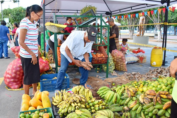 El parque del barrio Panamá será escenario del décimo Mercado Campesino a desarrollarse este domingo en Valledupar